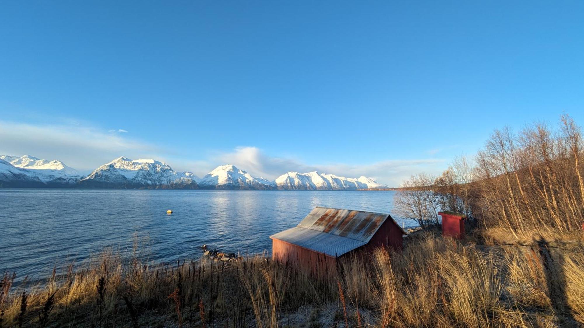 Lyngenfjord