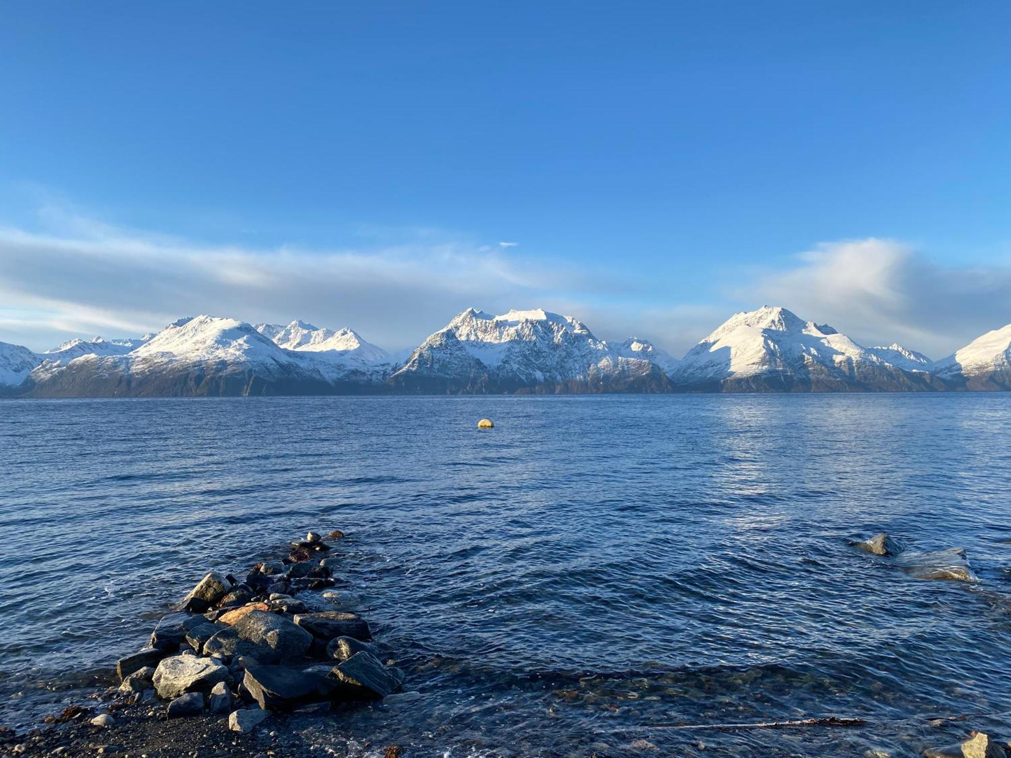 Lyngenfjord *