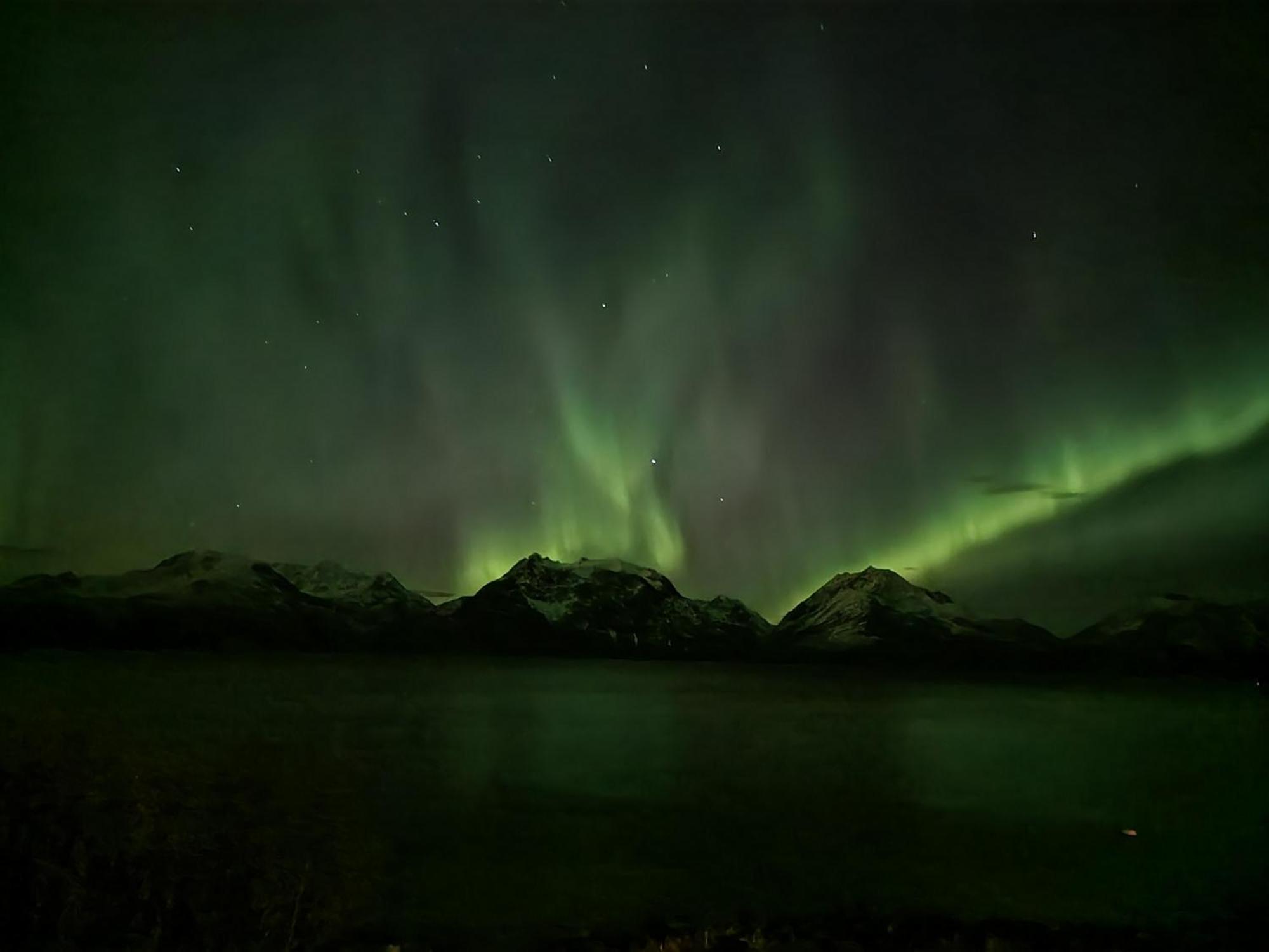 Lyngenfjord * Olderdalen