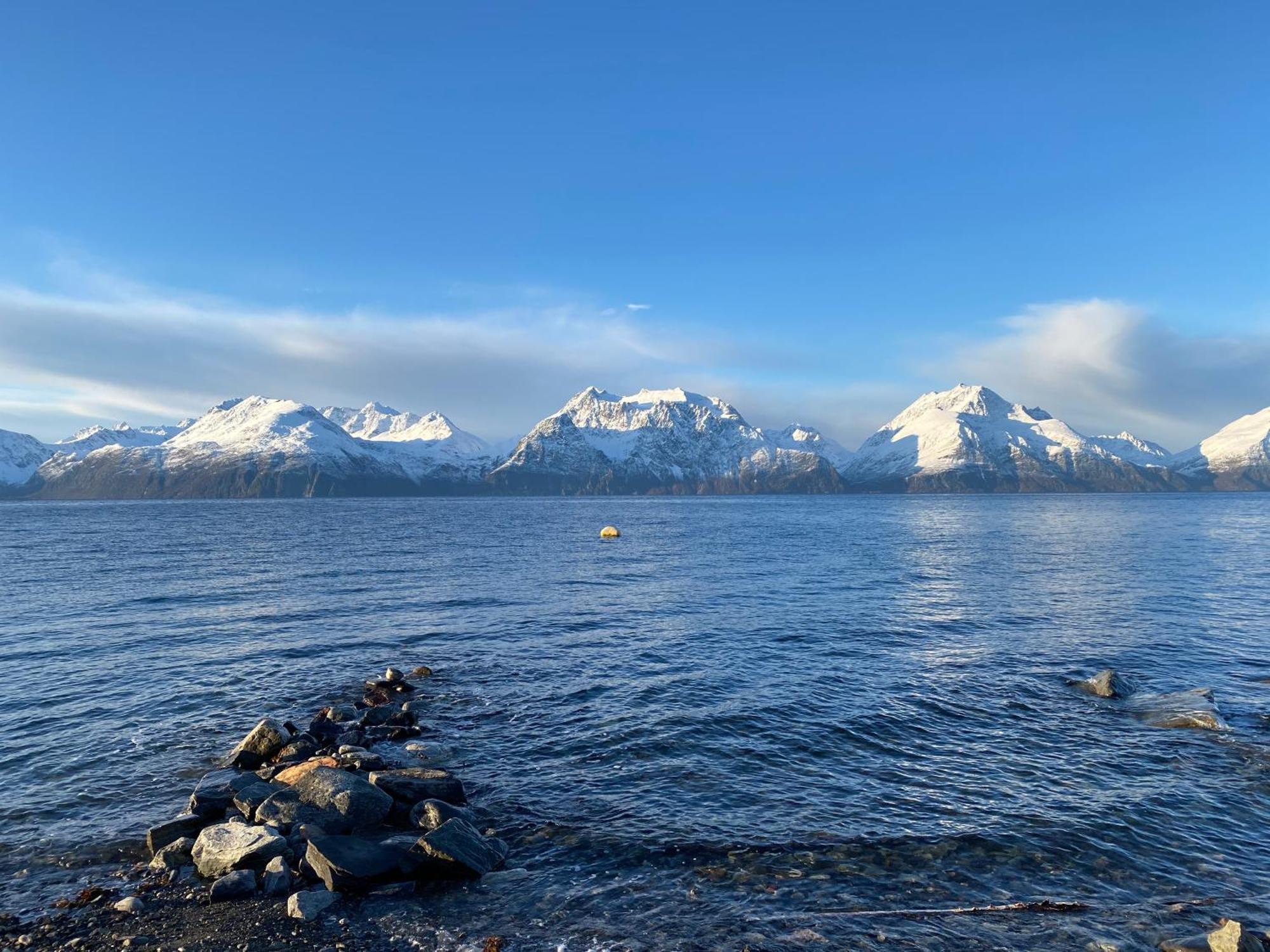 Lyngenfjord